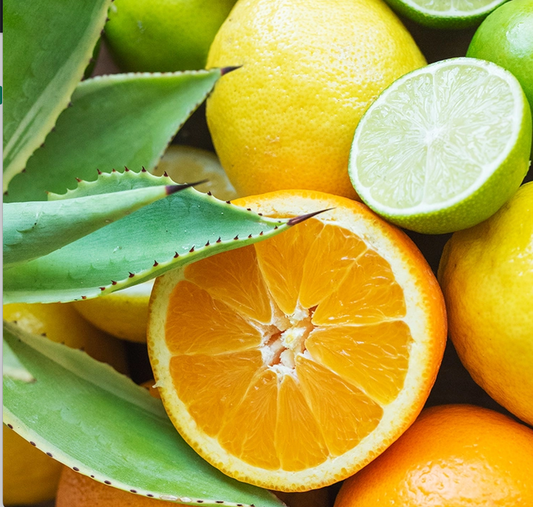 Citrus Agave