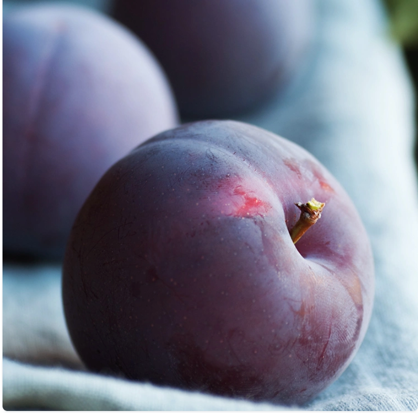 Cashmere Plum