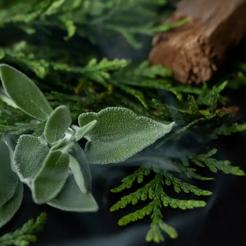 Sage and Cypress