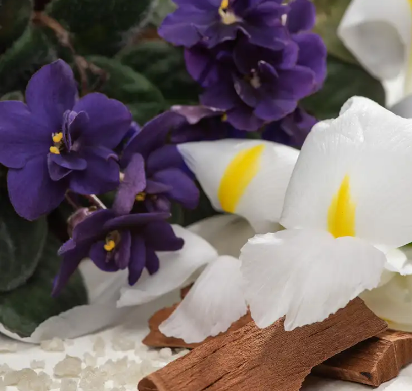 White Orris Sandalwood