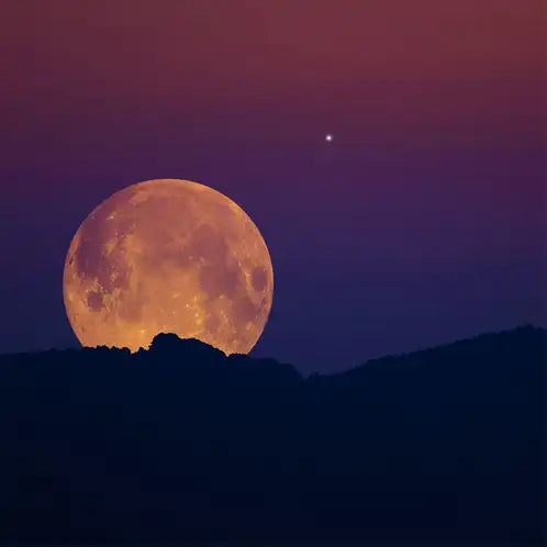 9 oz 100% Soy Wax Candle