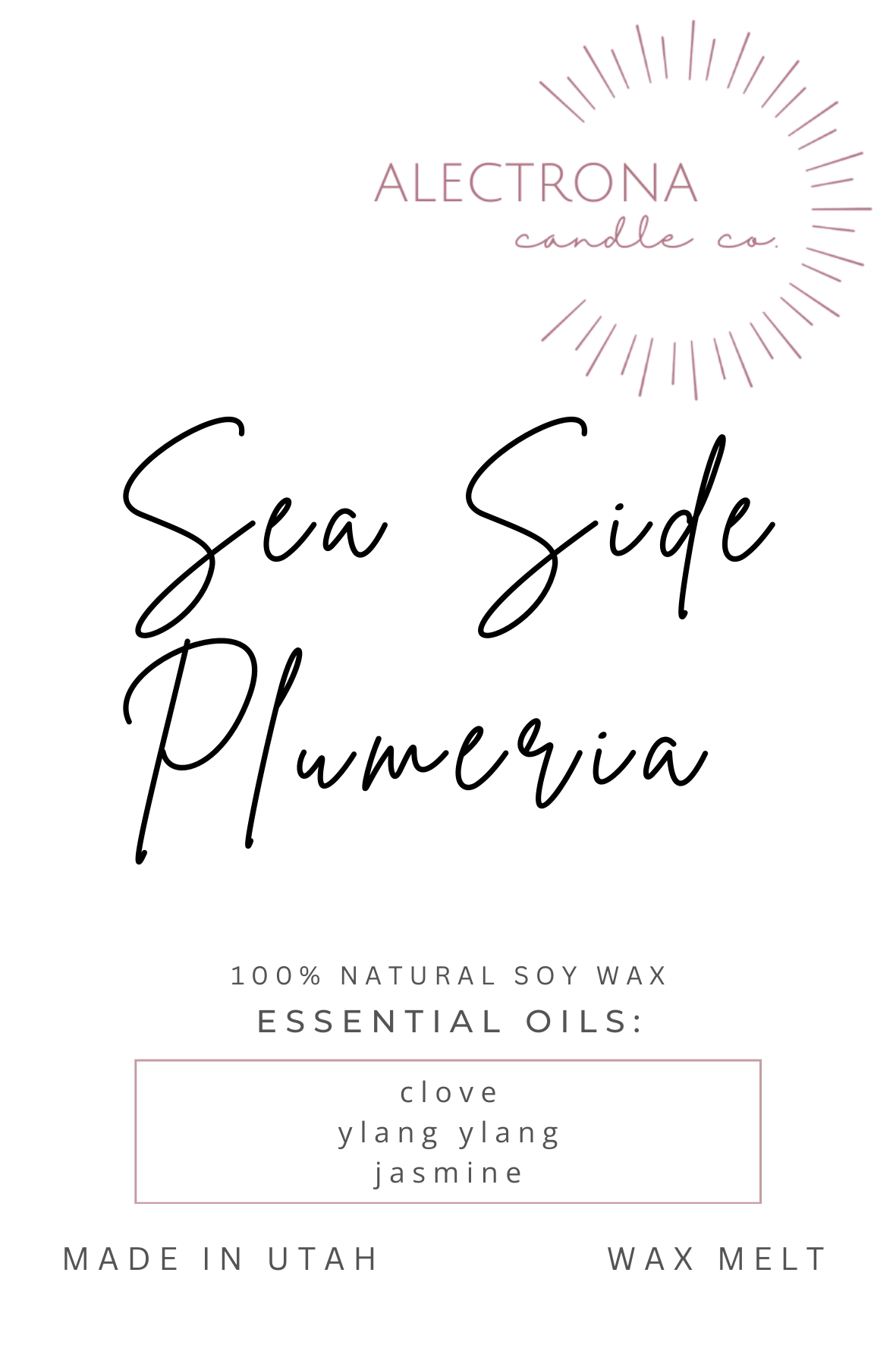 2.4 oz 100% Soy Wax Melts